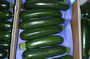 Courgettes