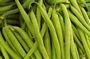 Haricot Vert