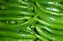 Green Chillis