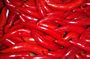 Red Chillis
