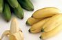 Baby Bananas