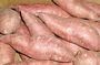 Sweet Potatoes