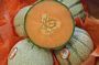 Cantaloupe Melon
